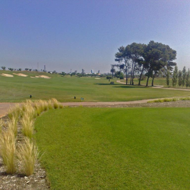 Weitläufiger Blick auf einen Golfplatz mit leuchtend grünem Rasen und Baumgruppen unter blauem Himmel.