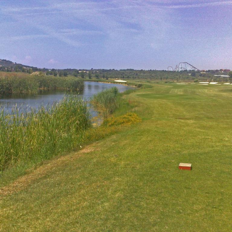 Eine grüne Golfplatzlandschaft mit einem Teich und dichtem Schilf im Vordergrund.
