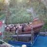 Ein großer, thematischer Bootswagen, der durch das Wasser eines Vergnügungsparks fährt und von dichtem, tropischem Grün umrahmt wird.