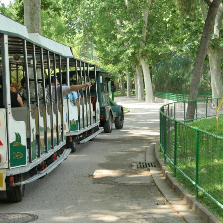 Eine touristische Bahn fährt durch einen gepflasterten Parkweg, umgeben von dichtem Baumbestand und Grünflächen.