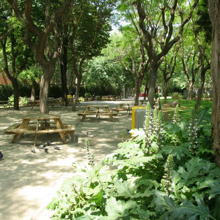 Schattiger Park mit hohen Bäumen und Holztischen.