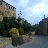 Historische Gasse einer mediterranen Stadt, umgeben von alten Steingebäuden und üppiger tropischer Vegetation.