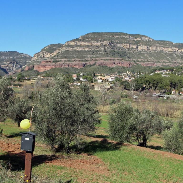 Weite Panoramaaussicht auf eine Tallandschaft, begrenzt durch hohe, geschichtete Klippen und umgeben von dichter grüner Vegetation.