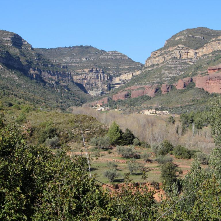 Weite Aufnahme eines Canyontals, umgeben von steilen, geschichteten Felswänden und dichtem Grün im Vordergrund.