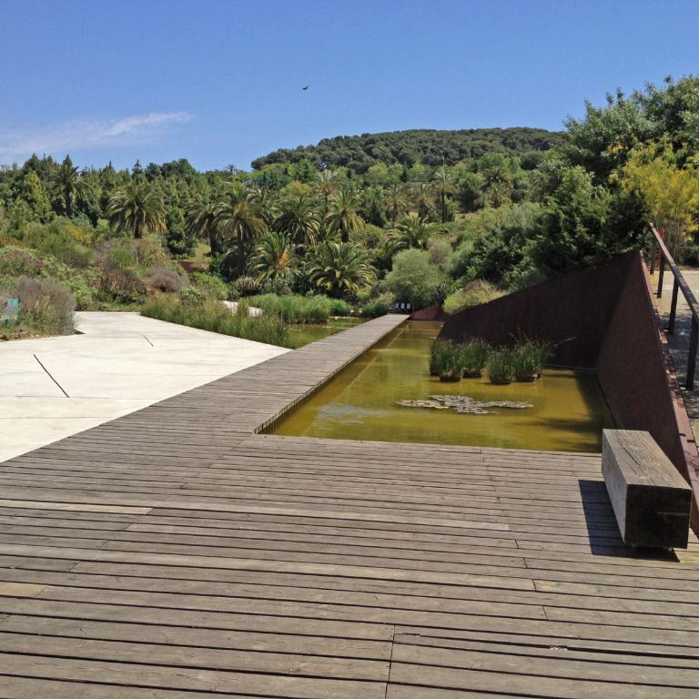 Ein Holzdeck führt über einen rechteckigen Wasserlauf mit Blick auf üppiges grünes Waldgebiet.