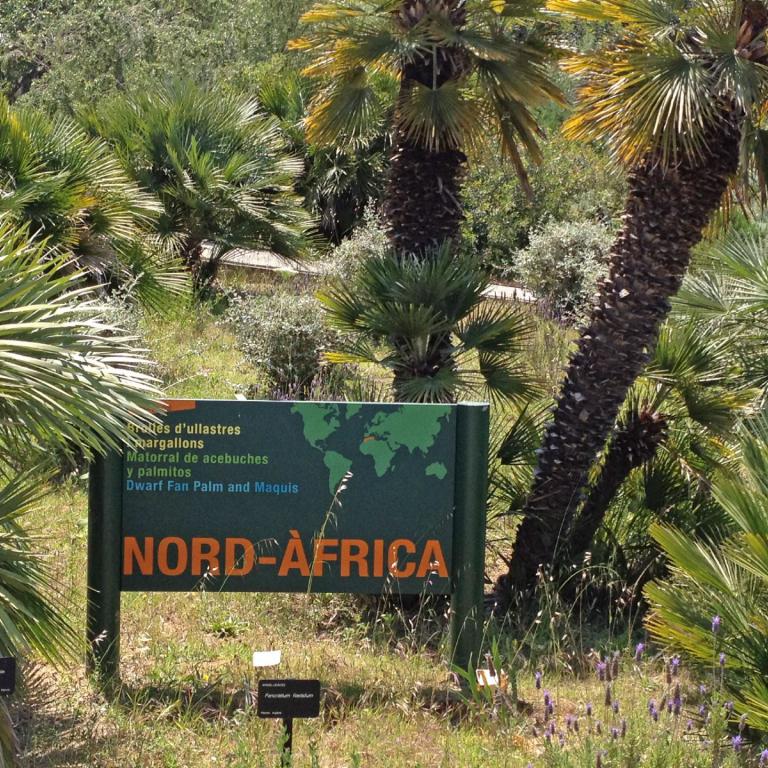 Ein üppiger Gartenbereich mit verschiedenen Palmen und einem Schild mit der Aufschrift Nord-Afrika.