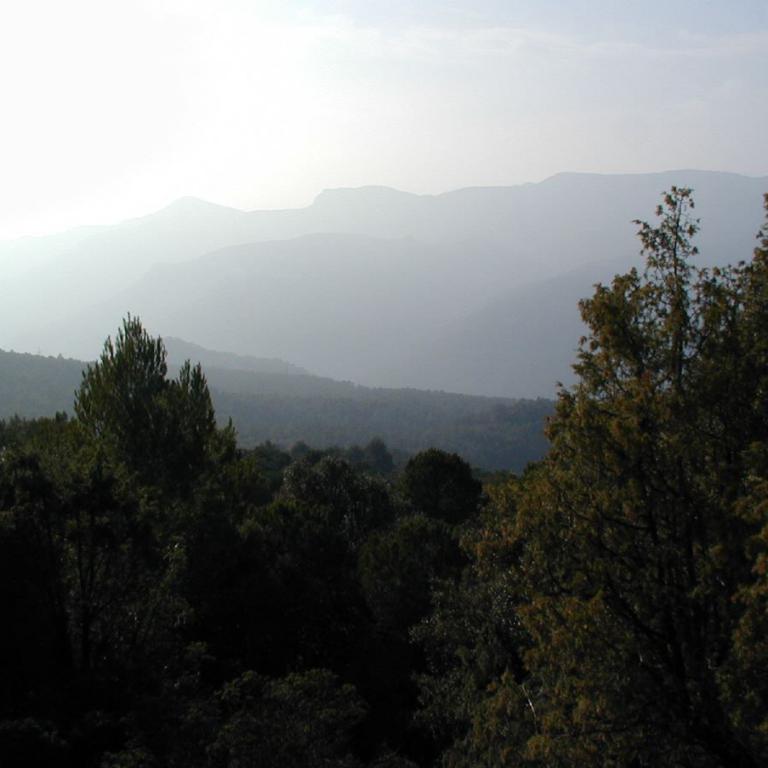 Panoramablick über schichtweise Bergketten durch einen Wald