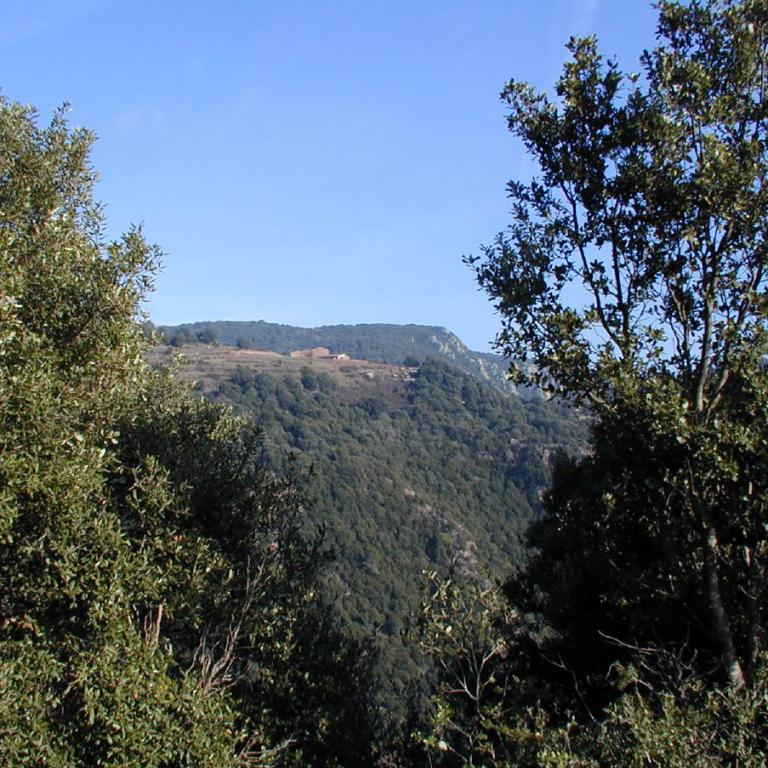 Panoramaaussicht auf eine bewaldete Hügellandschaft unter blauem Himmel.