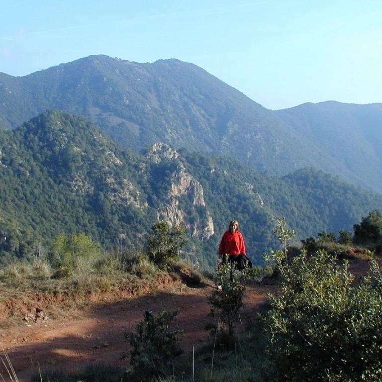 Ein Wanderer steht auf einem Pfad mit Blick auf die majestätische Bergkette.