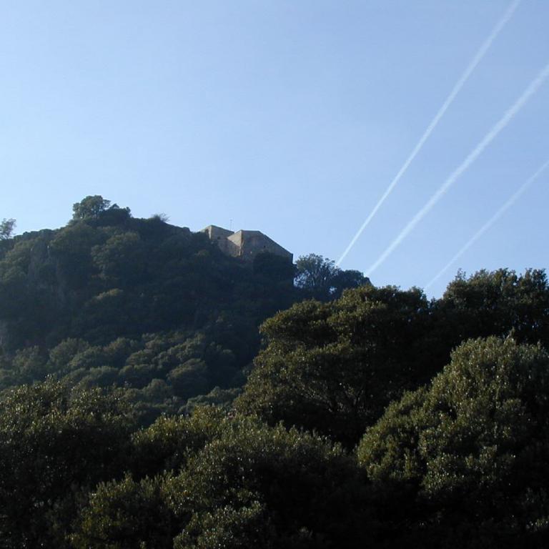 Ein bewaldeter Hügel mit einer sichtbaren Struktur auf dem Gipfel unter einem klaren, blauen Himmel.