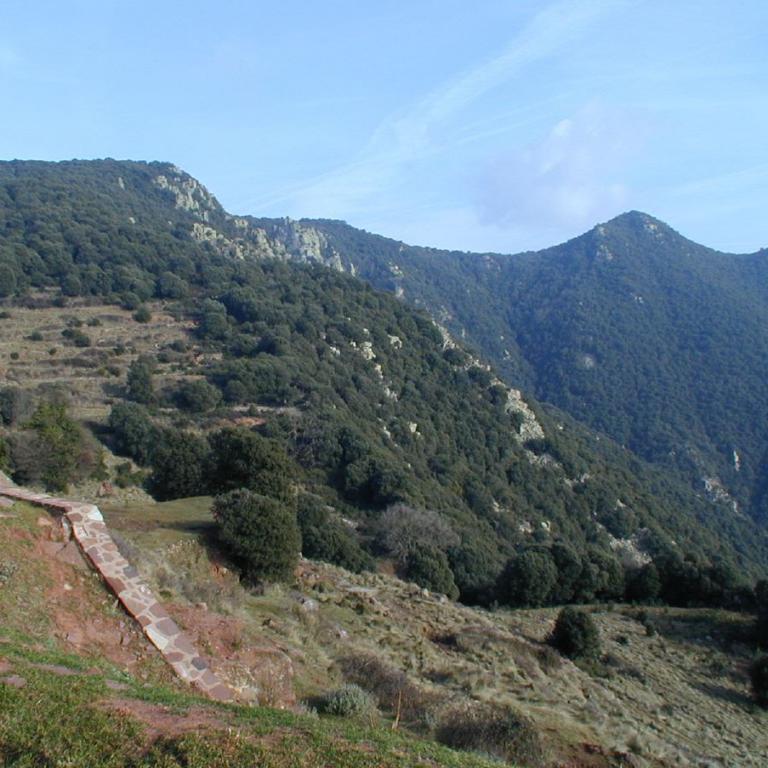 Berglandschaft mit dichtem Wald und einem Wanderpfad im Vordergrund