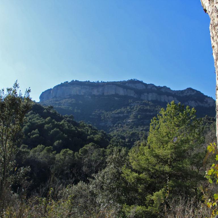 Panoramaaufnahme eines Hügel- und Berglandschafts mit einem markanten Tafelberg im Hintergrund.